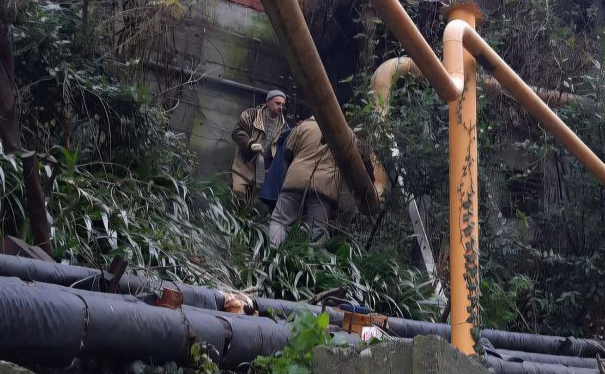 Фото: glavatuapseregion / Telegram