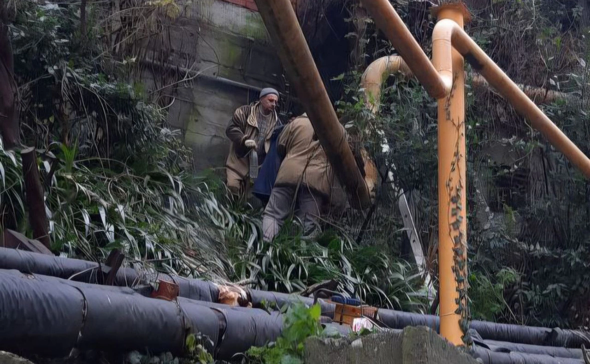 glavatuapseregion / Telegram