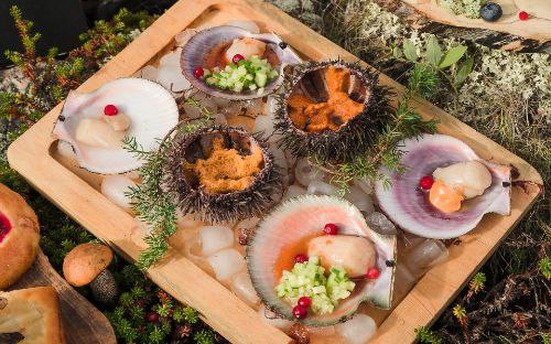 Фото: murmansk.travel