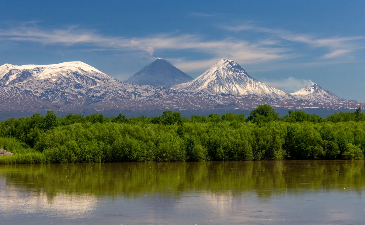 Елена Верещака / ТАСС