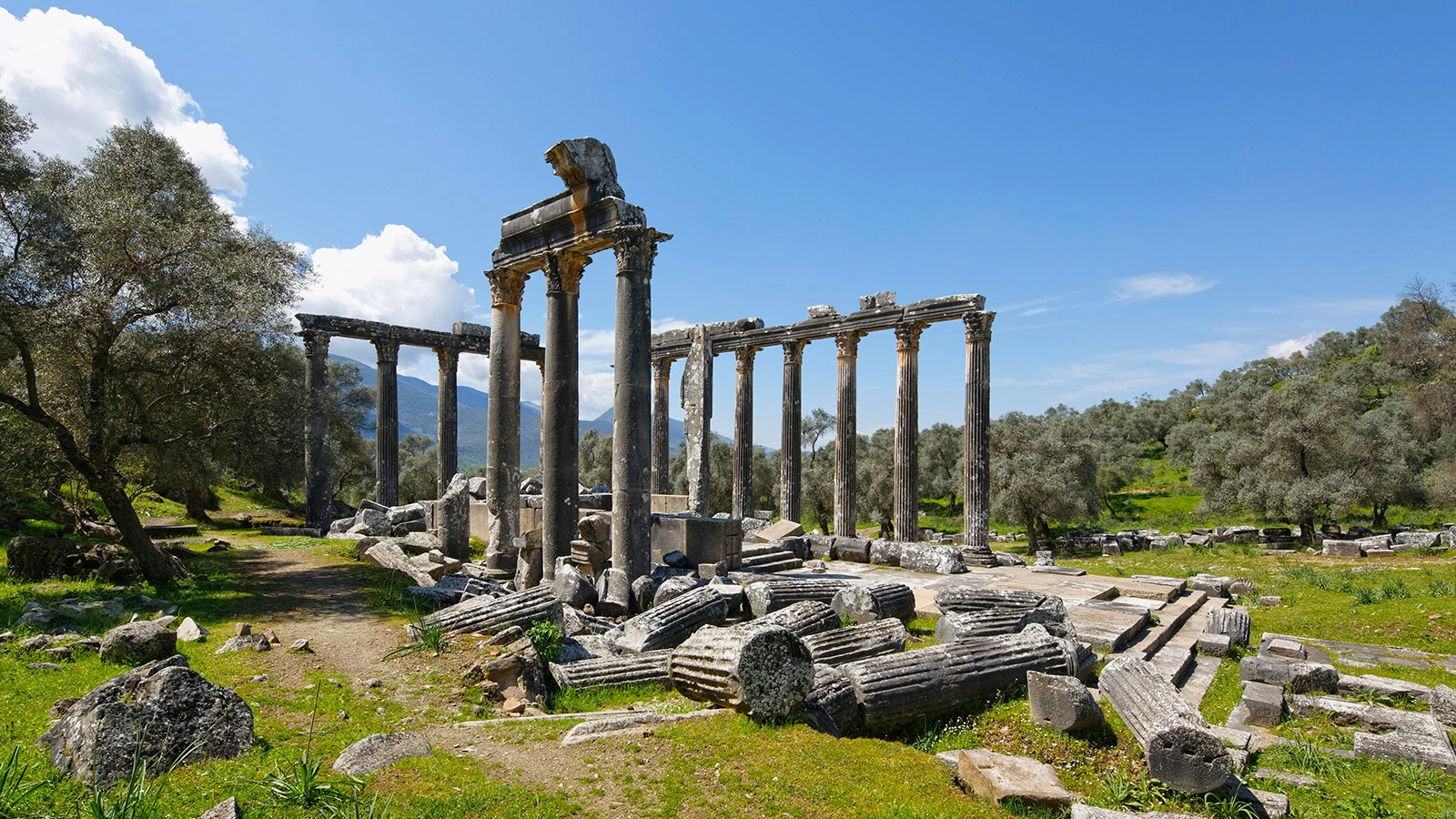 <p>Руины храма Зевса в Турции</p>