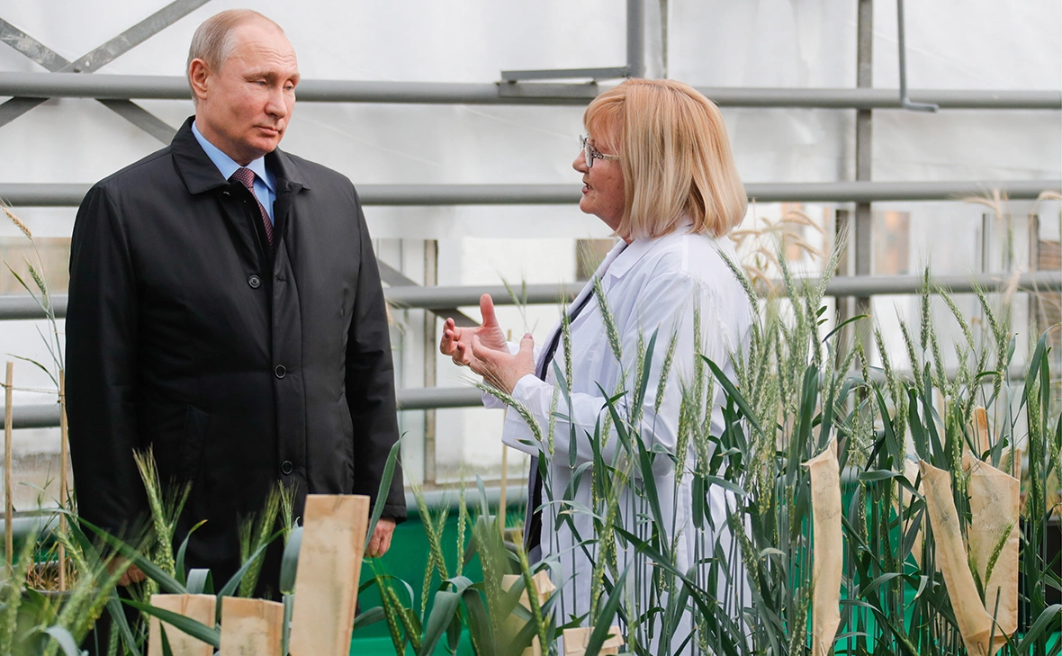 Михаил Метцель / ТАСС