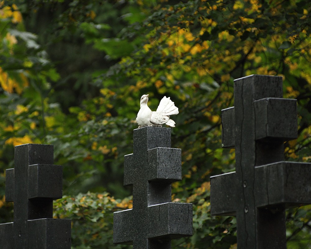 Арское кладбище сделают привлекательным для туристов