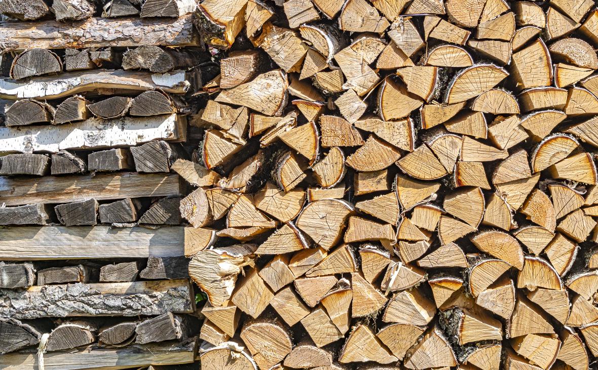 Болгария запретит экспорт древесины"/>













