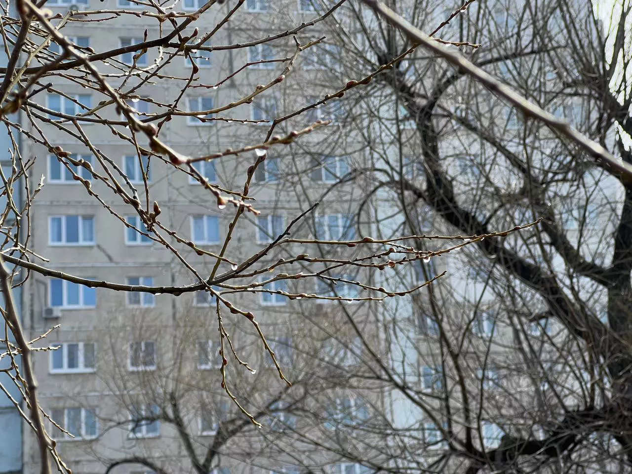 РБК Приморье