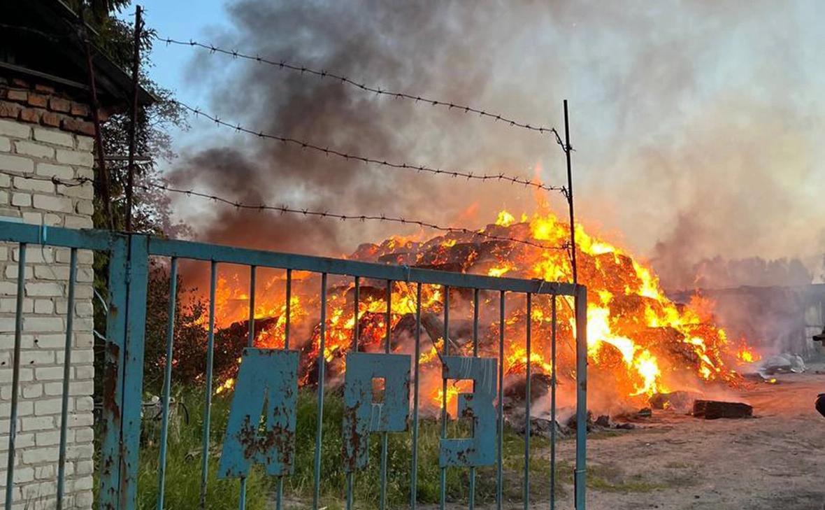 Hinshtein / Telegram