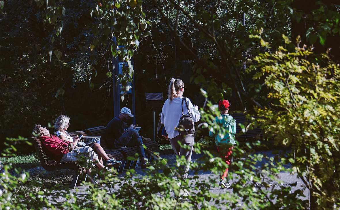 Андрей Любимов / РБК