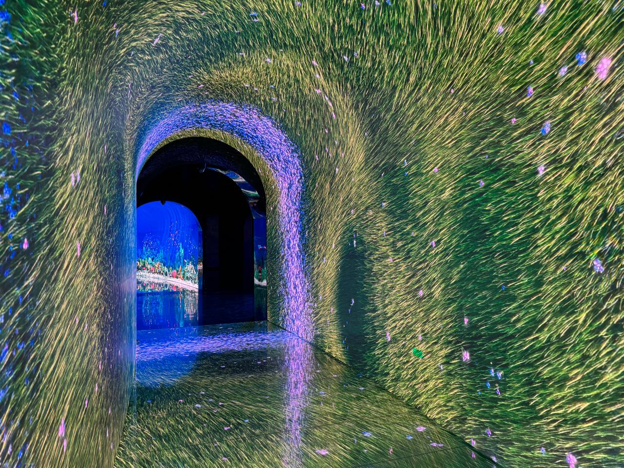 Фото: РБК Краснодар