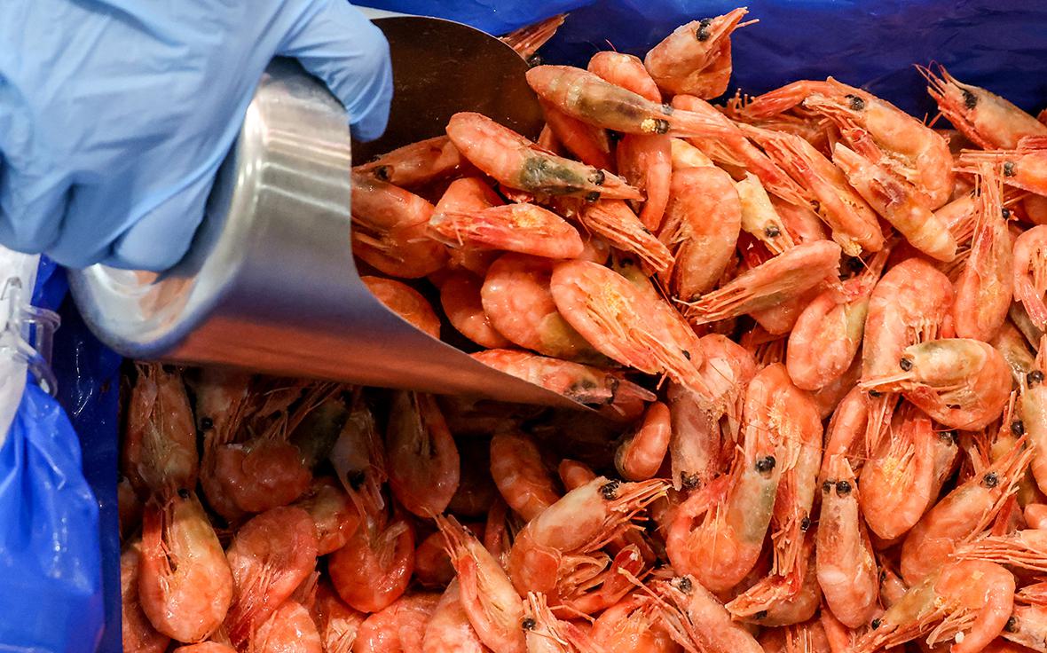 Министр рассказала о каждой пятой креветке из Индии в России