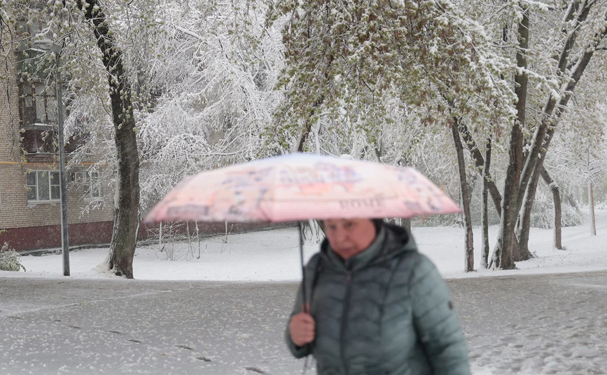 Михаил Гребенщиков / РБК