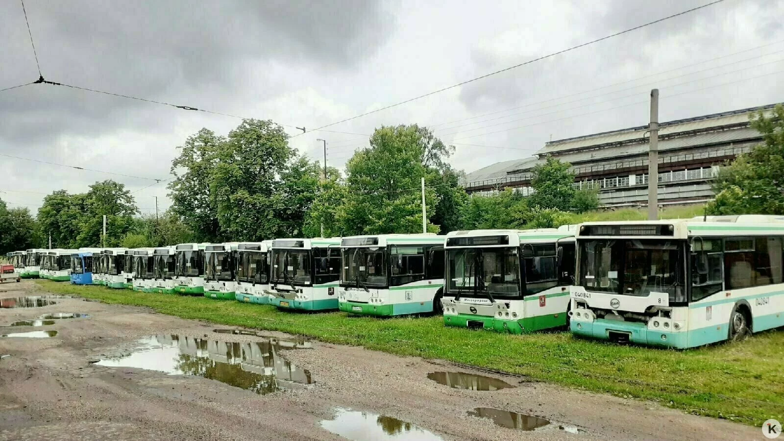 Михаил Лаврускайтис