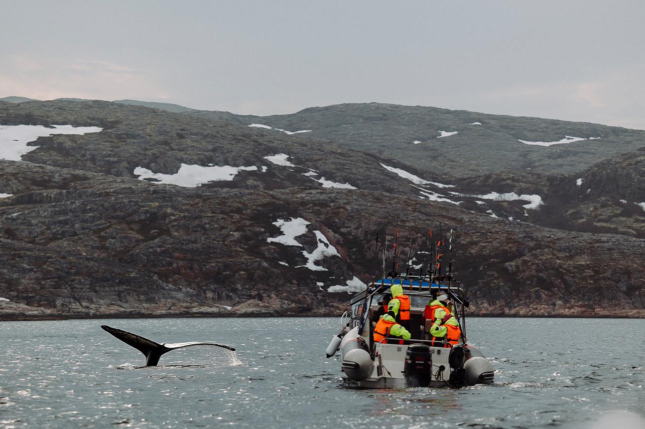 Морская&nbsp;прогулка