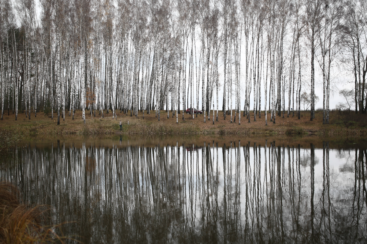 На берегу небольшого лесного озера вблизи границы с Российской Федерацией. Поселок Хотимск, Могилевская область