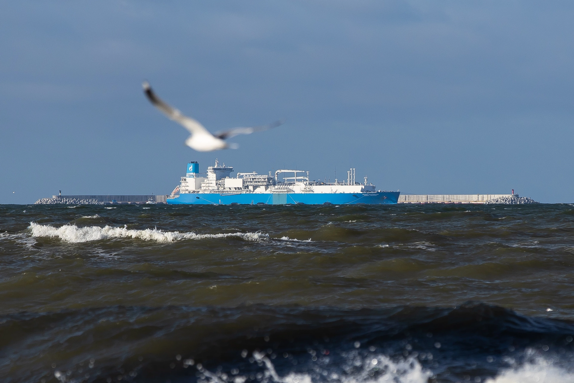 Александр Подгорчук