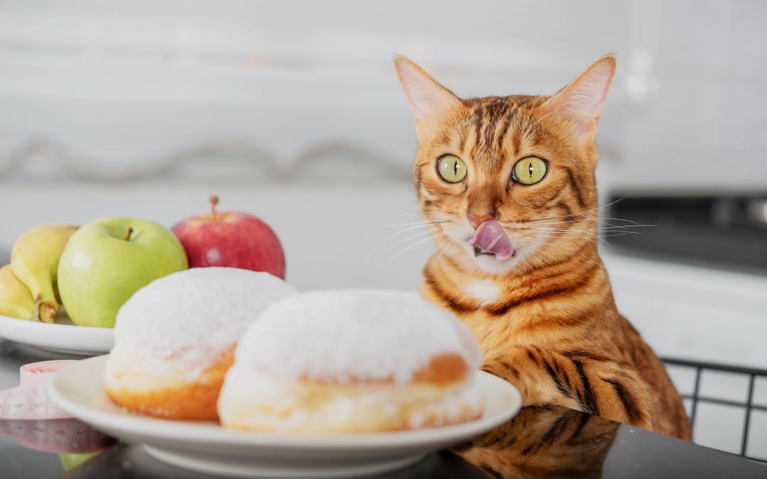 Фото: Shutterstock