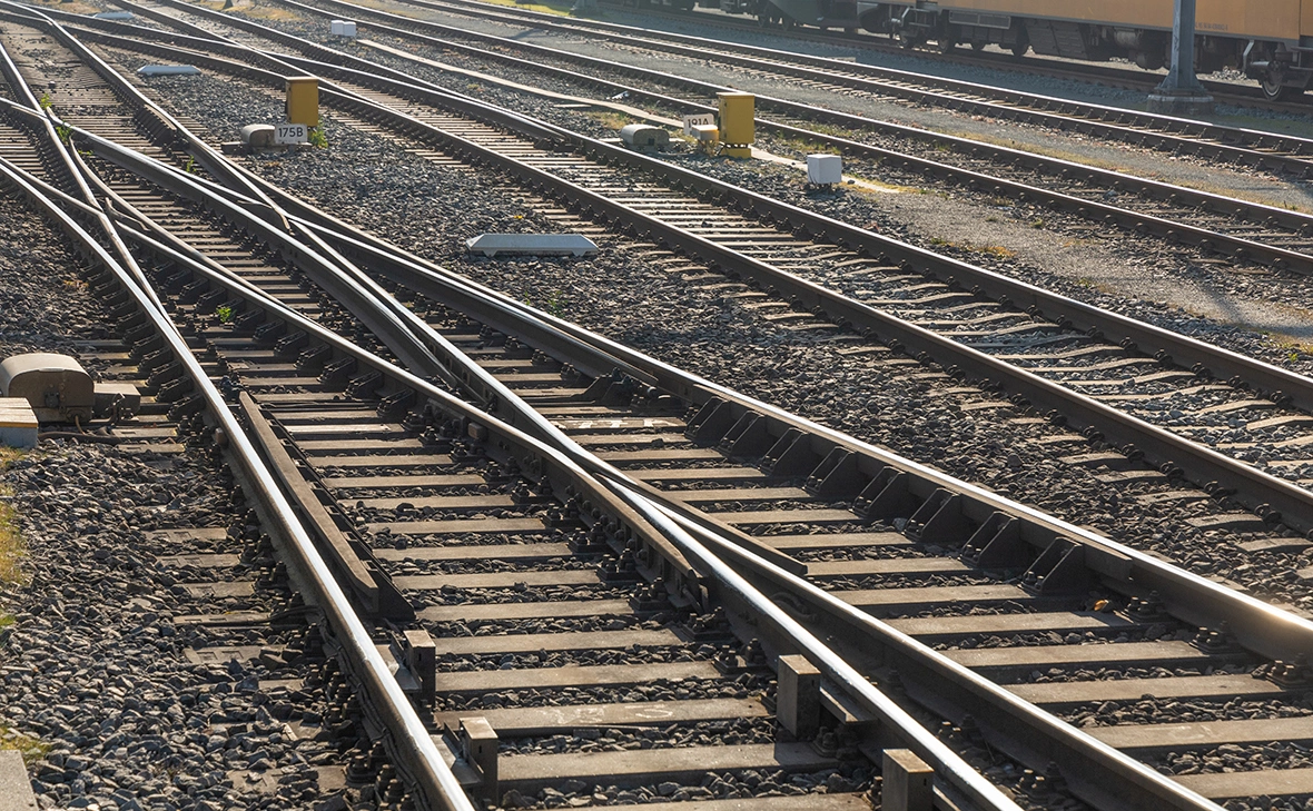 PixelBiss / Shutterstock