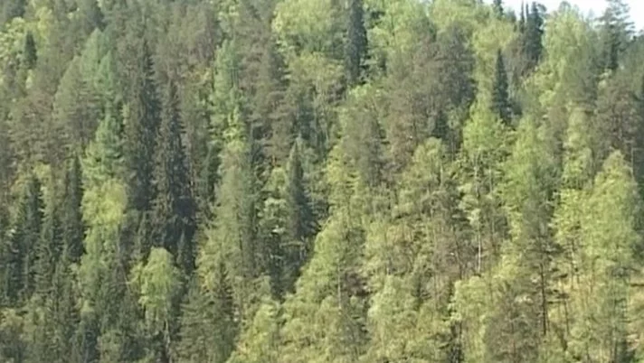 РБК Пермь