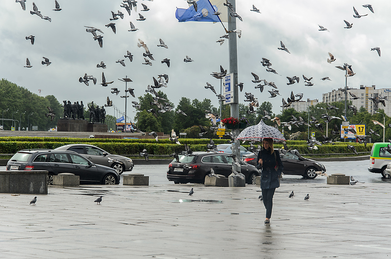 Фото: Роман Пименов/Интерпресс