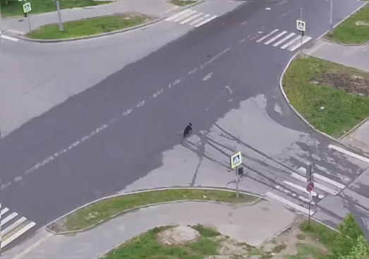 Камера видеонаблюдения / Sampo.ru 