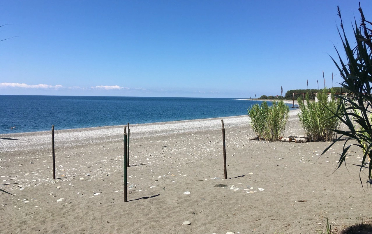 РБК Новосибирск