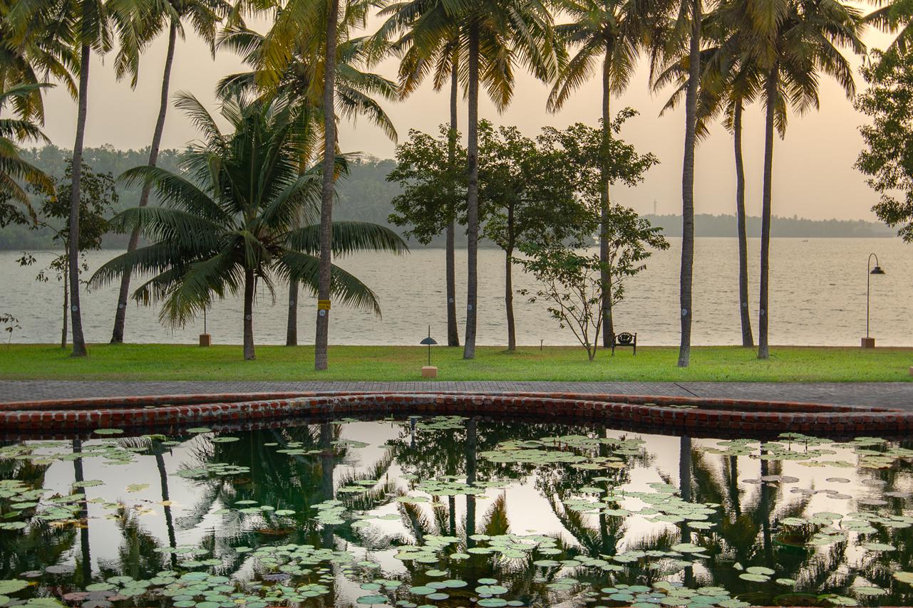 Фото: пресс-служба