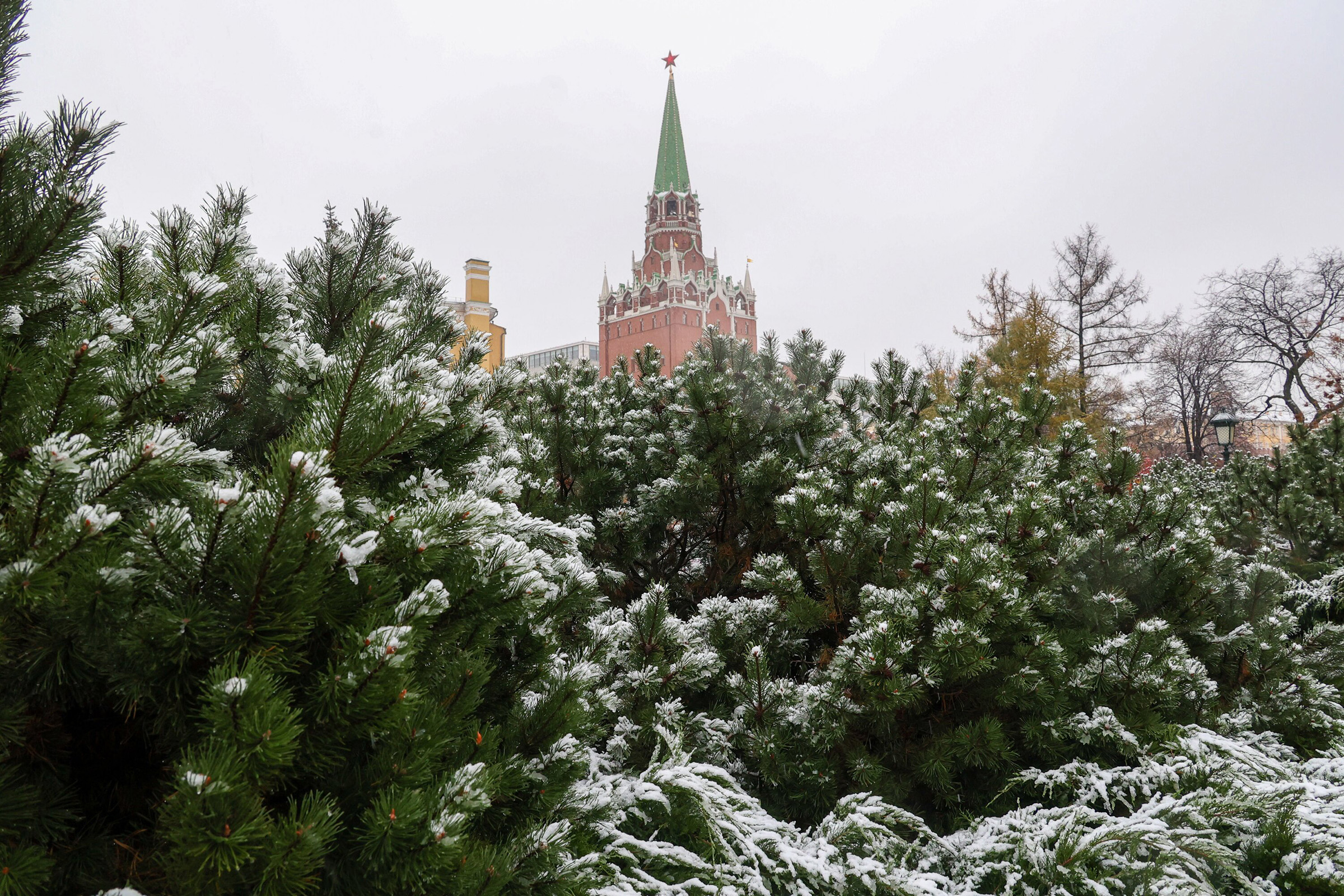 Фото:Ярослав Чингаев / АГН «Москва»