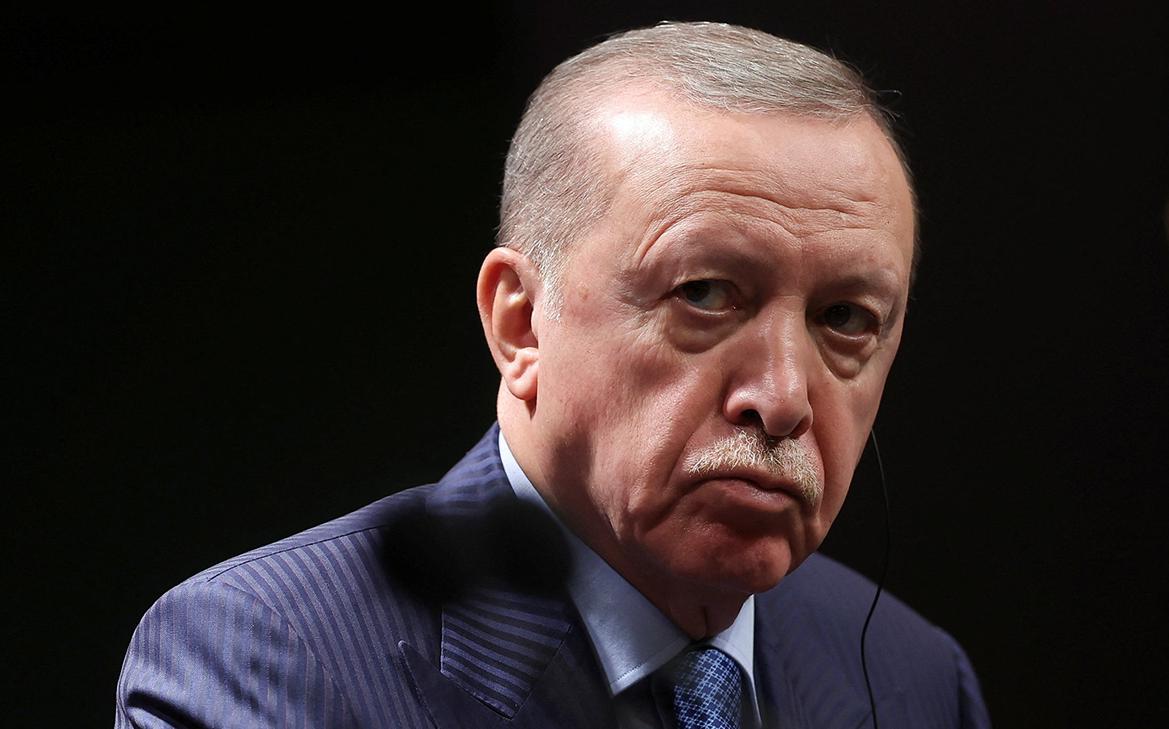 Эрдоган заявил, что Турция «не чувствует зависти» к чужим территориям