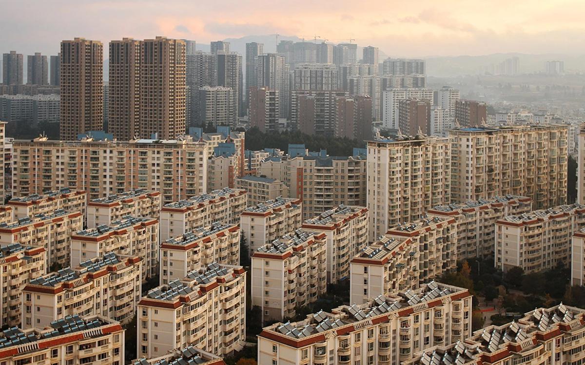 Фото: Barnaby Chambers / Shutterstock / FOTODOM 