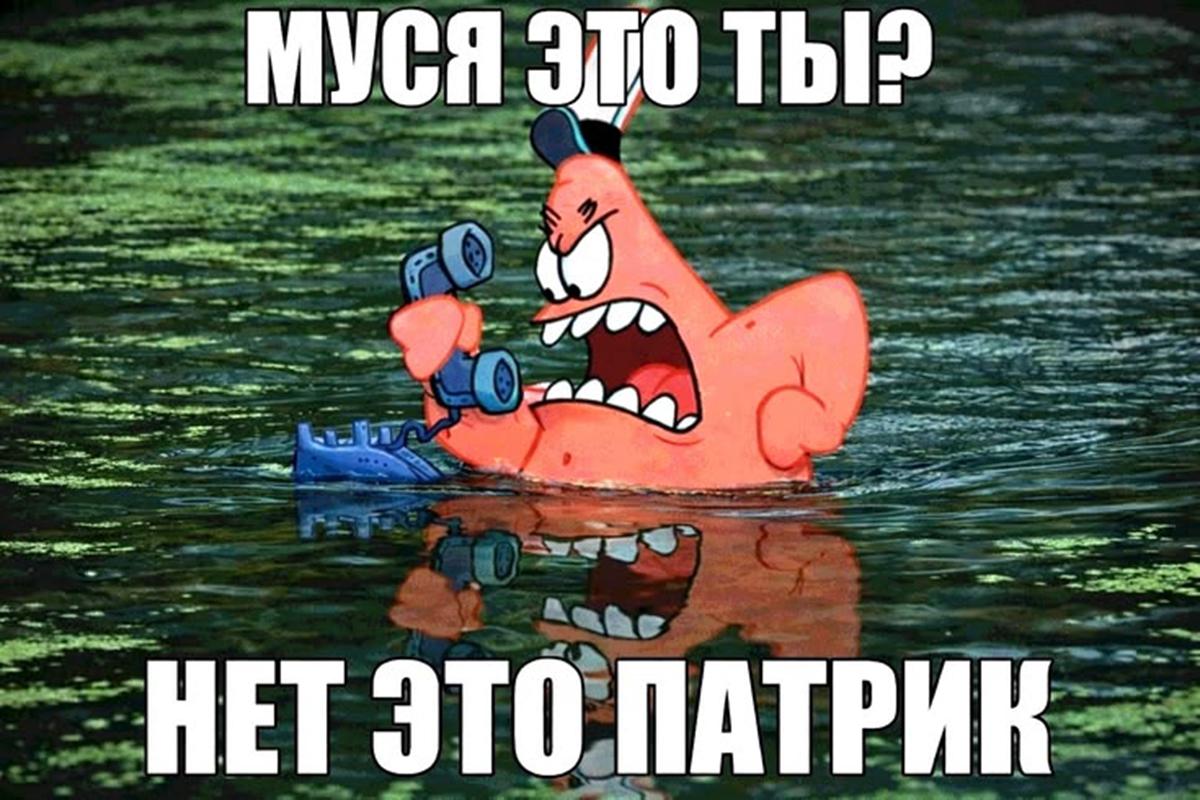 «Нет, это Патрик» — отсылка к герою мультфильма «Губка Боб квадратные штаны», который так же подходит к телефону и когда его спрашивают «Красти, это ты?», он отвечает «Нет, это Патрик»