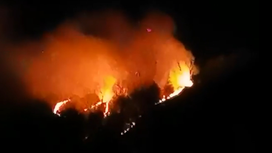 В Сочи из-за фейерверков возник лесной пожар. Видео