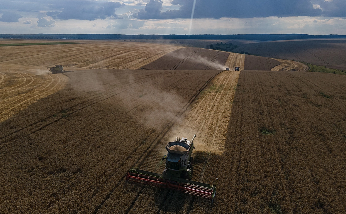 Алексей Фурман / Getty Images