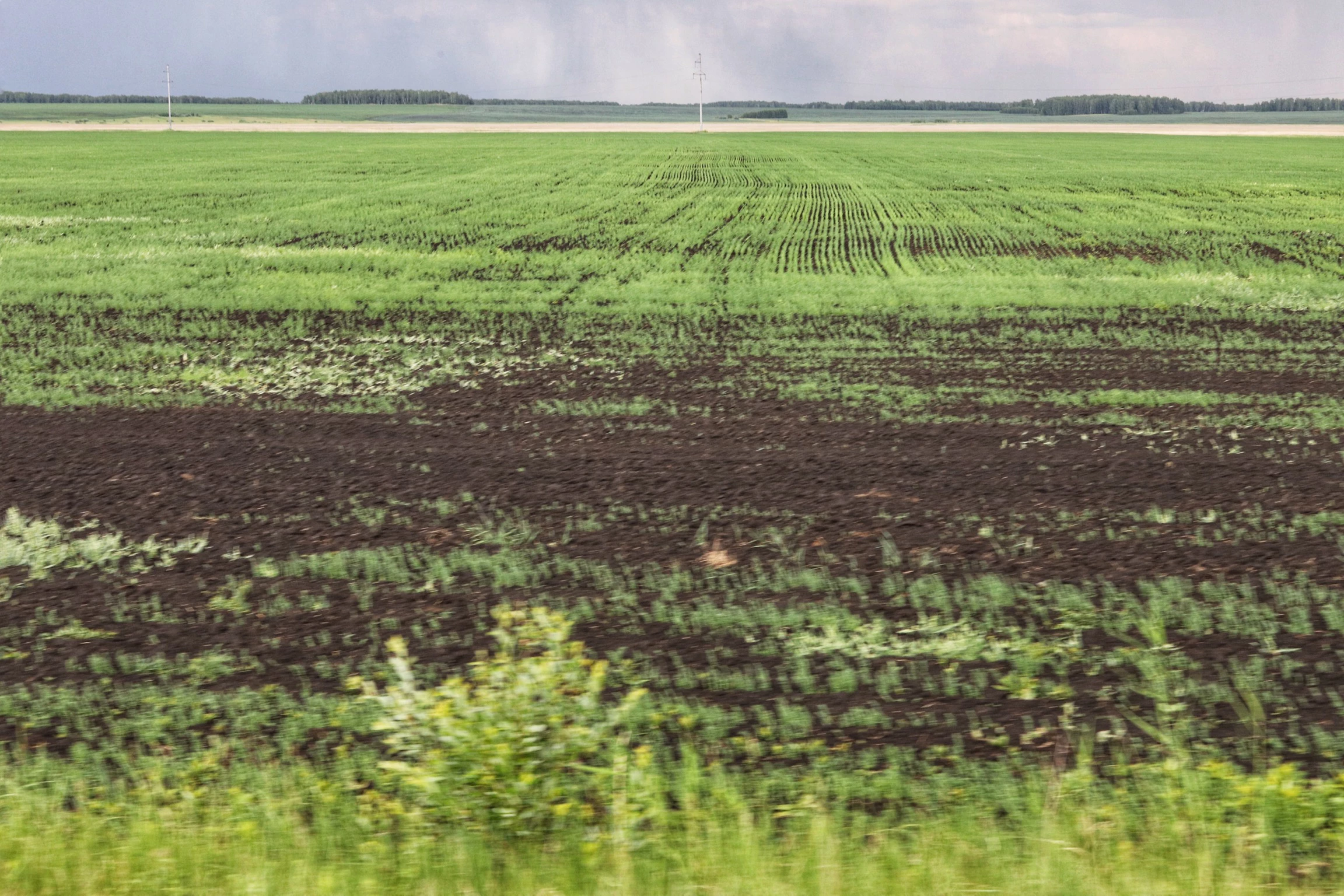 Екатерина Сычкова / РИА URA.RU