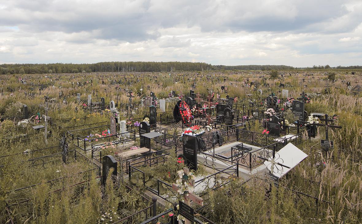 Вид на Домодедовское кладбище