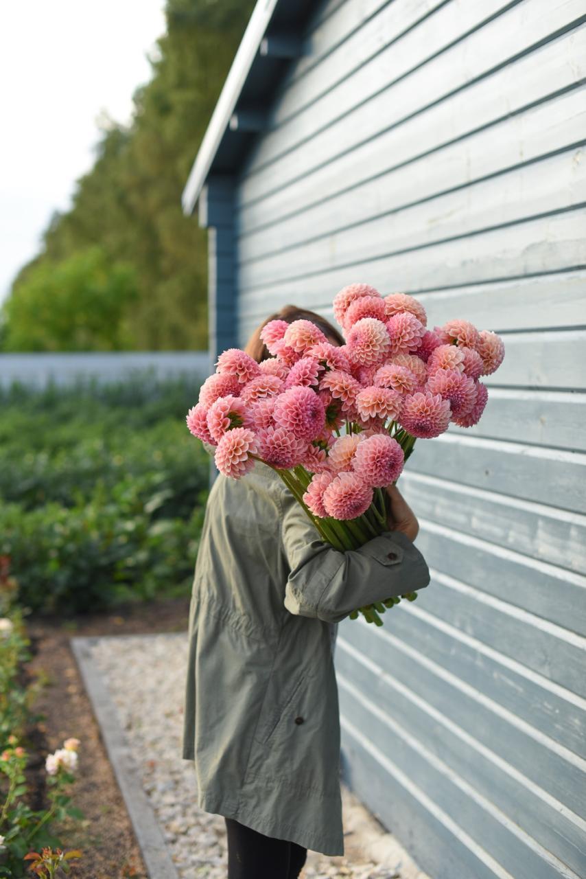 Ферма Local Flowers