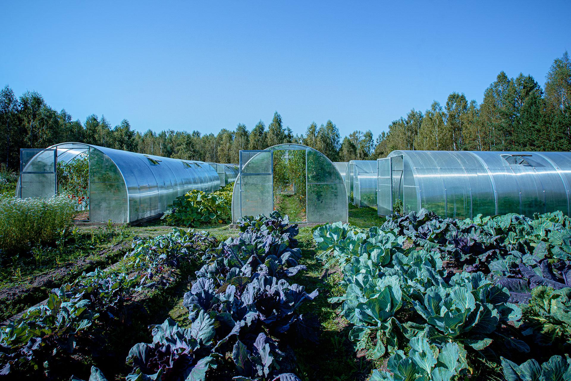 Ферма Twins Garden