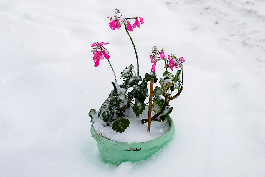 Владивосток