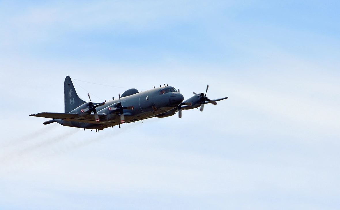 Martin Charles Hatch / Shutterstock