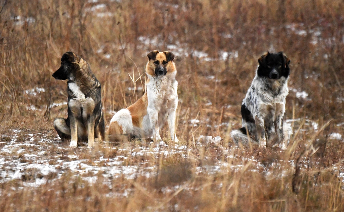 Илья Наймушин / РИА Новости