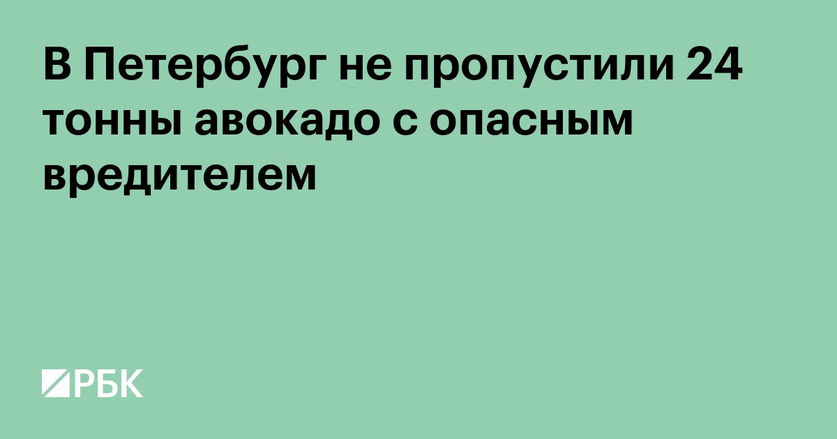 В Петербург не пропустили 24 тонны авокадо с опасным вредителем