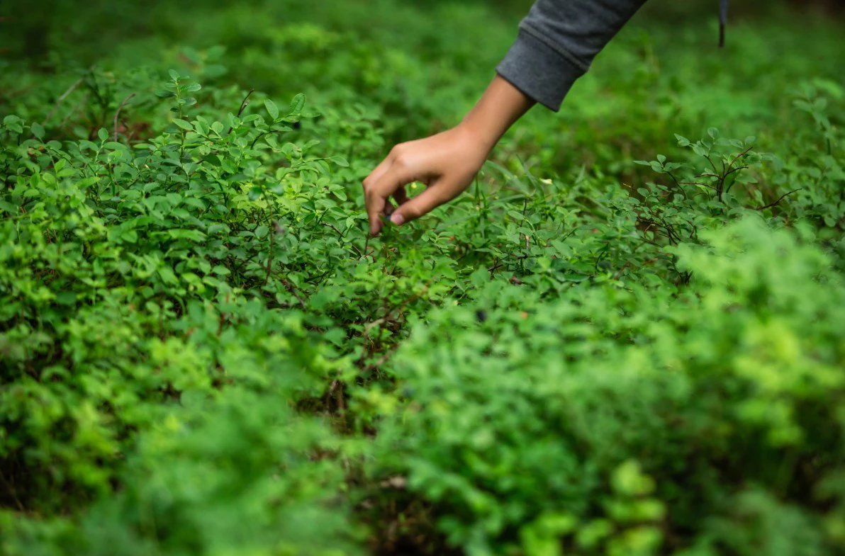 Александр Кулаковский / РИА URA.RU