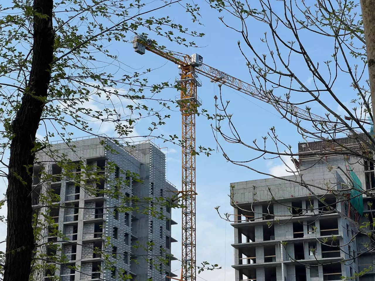 РБК Приморье