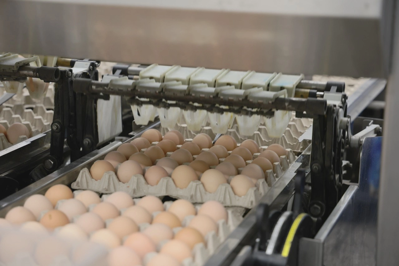 Правительство Камчатского края