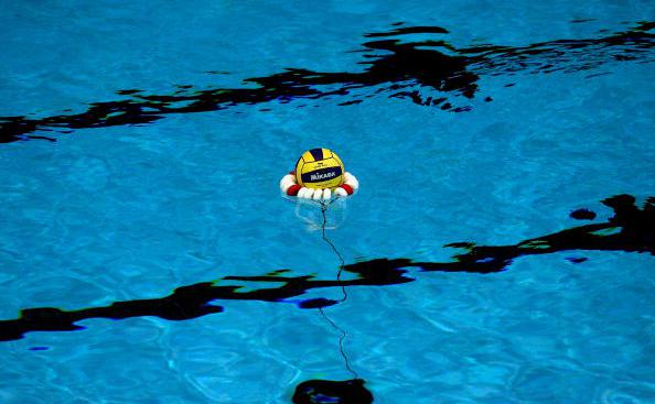 Фото: Quinn Rooney / Getty Images