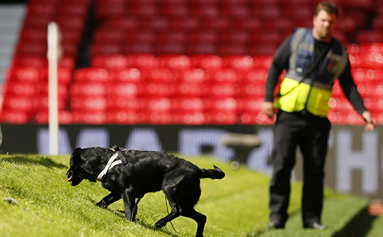 Полиция &laquo;прочесывает&raquo; стадион Old Trafford с&nbsp;помощью&nbsp;собак-ищеек
