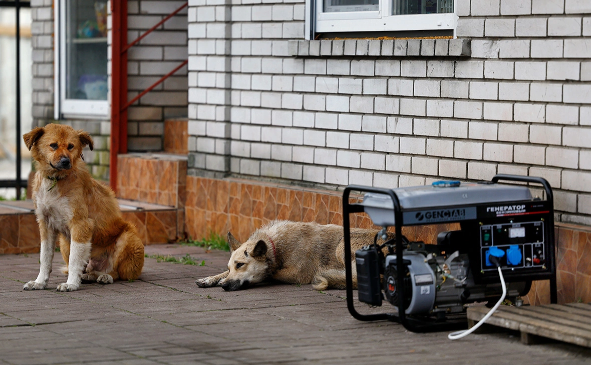 Jeff J Mitchell / Getty Images