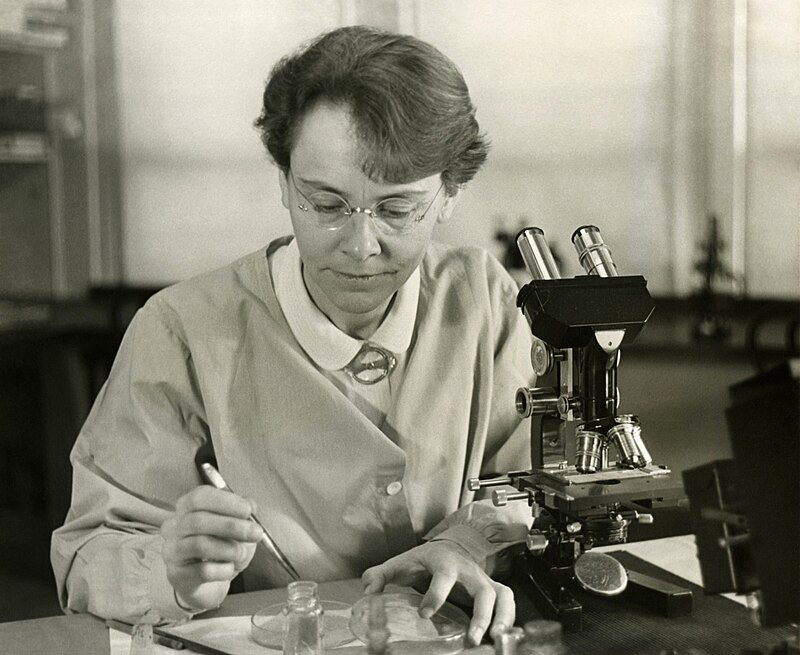 Барбара МакКлинток всю карьеру изучала хромосомы кукурузы и сделала важные открытия в области генетики