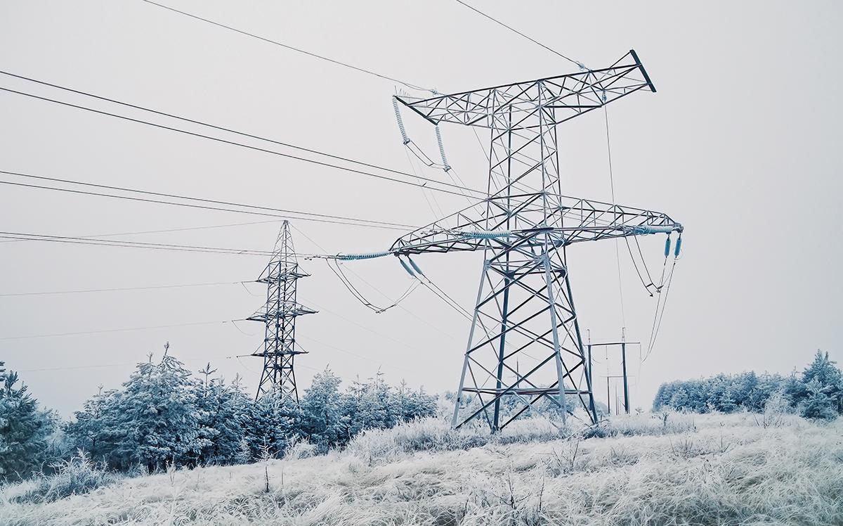 Госдума продлила переходный период для земельных участков в особых зонах