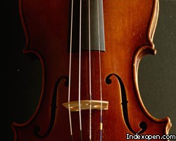 В Германии украдена скрипка Страдивари за 3 млн евро
