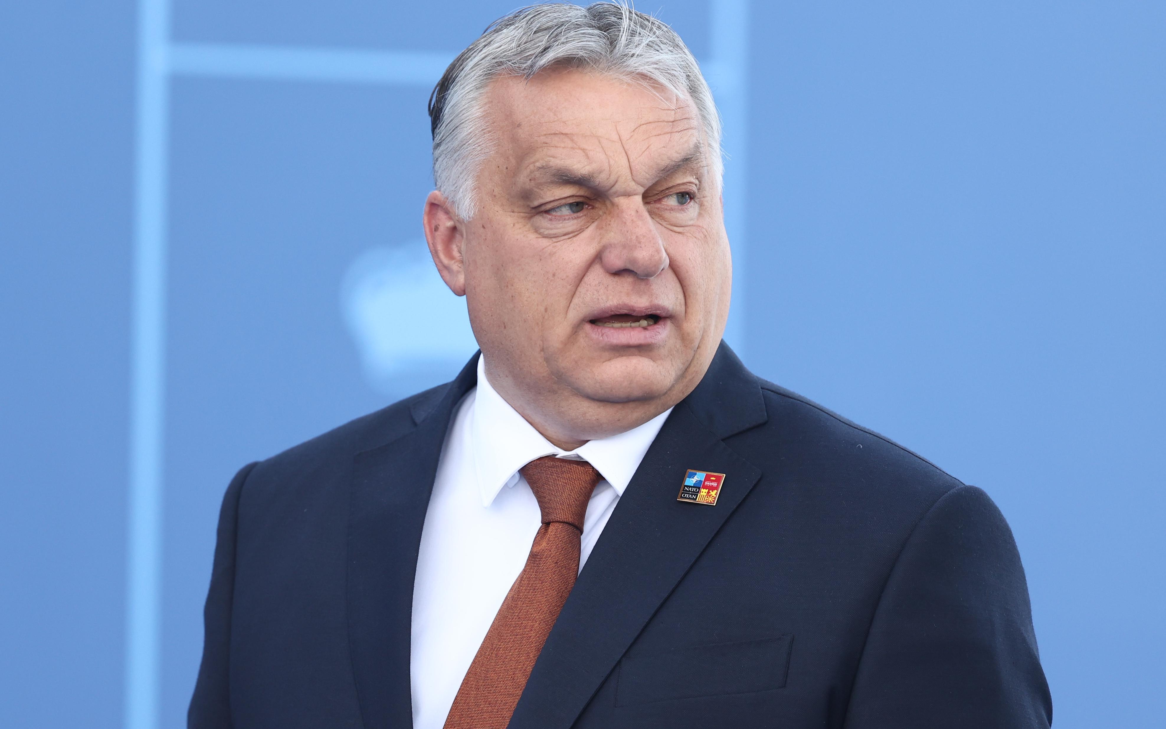 Премьер Венгрии исключил мир на Украине без переговоров России и США