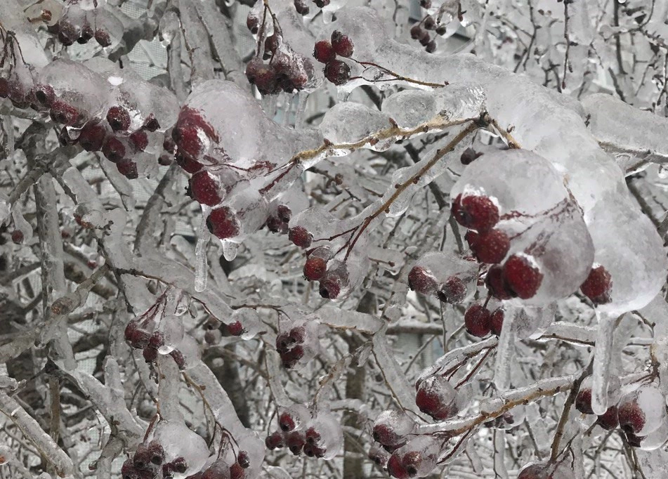 РБК Приморье